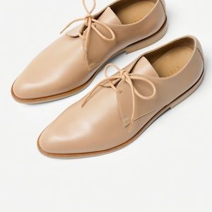 Everlane Modern Oxford